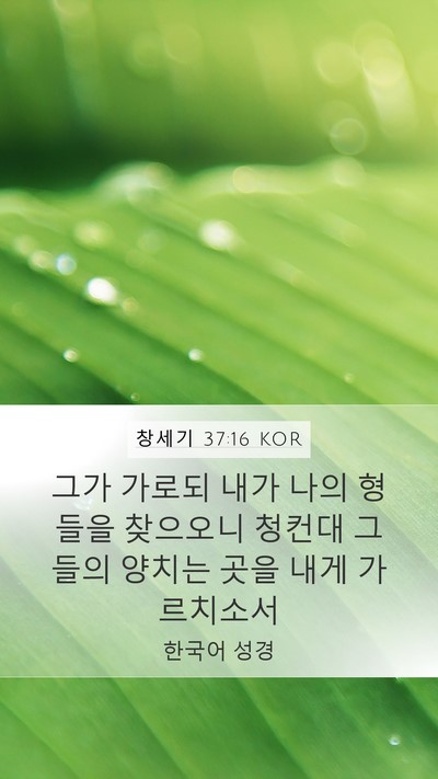 창세기 37:16 KOR Mobile Phone Wallpaper - 그가 가로되 내가 나의 형들을 - Mobile Bible Verse Wallpaper