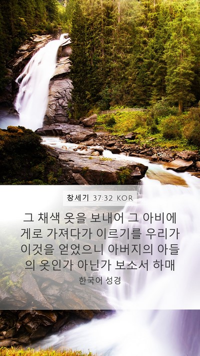 창세기 37:32 KOR Bible Verse Image