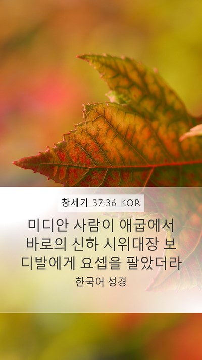 창세기 37:36 KOR Bible Verse Image