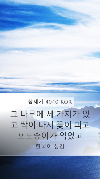창세기 40:10 KOR Bible Verse Image