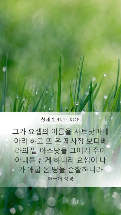 창세기 41:45 KOR Bible Verse Image