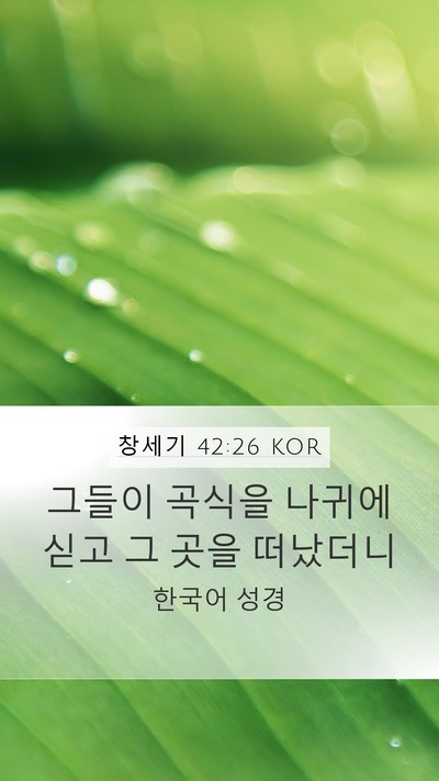 창세기 42:26 KOR Mobile Phone Wallpaper - 그들이 곡식을 나귀에 싣고 그 곳을 - Mobile Bible Verse Wallpaper