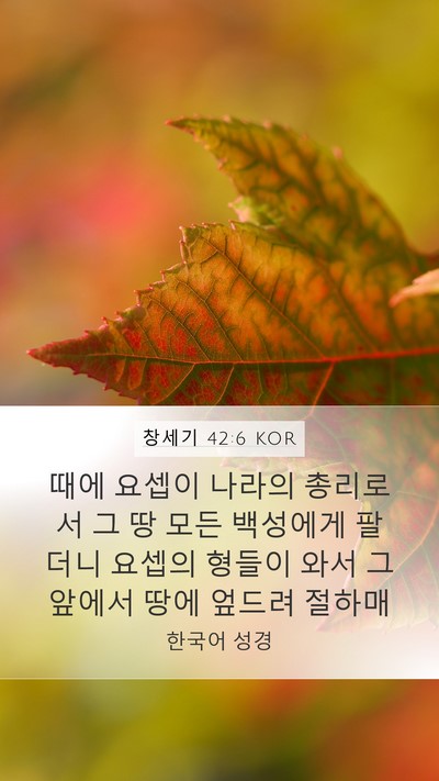 창세기 42:6 KOR Bible Verse Image