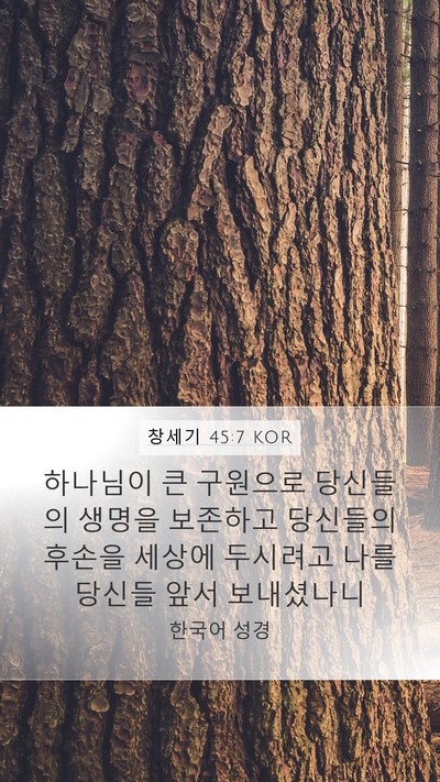 창세기 45:7 KOR Mobile Phone Wallpaper - 하나님이 큰 구원으로 당신들의 - Mobile Bible Verse Wallpaper