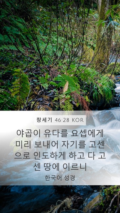 창세기 46:28 KOR Bible Verse Image