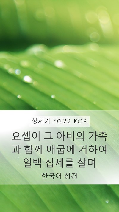 창세기 50:22 KOR Bible Verse Image