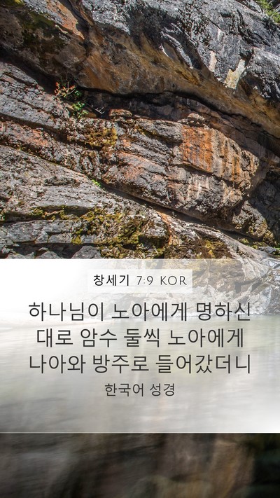 창세기 7:9 KOR Mobile Phone Wallpaper - 하나님이 노아에게 명하신 대로 암수 - Mobile Bible Verse Wallpaper