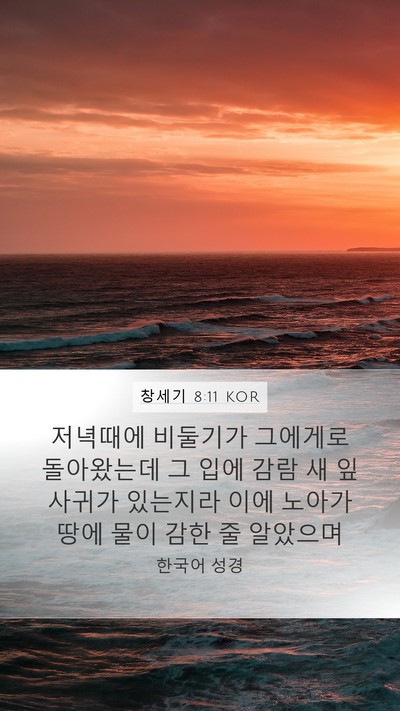 창세기 8:11 KOR Mobile Phone Wallpaper - 저녁때에 비둘기가 그에게로 - Mobile Bible Verse Wallpaper
