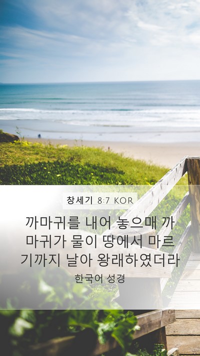 창세기 8:7 KOR Mobile Phone Wallpaper - 까마귀를 내어 놓으매 까마귀가 물이 - Mobile Bible Verse Wallpaper