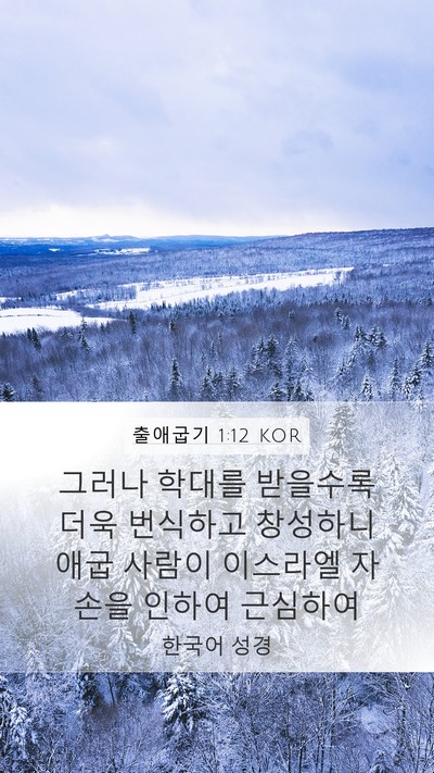 출애굽기 1:12 KOR Bible Verse Image