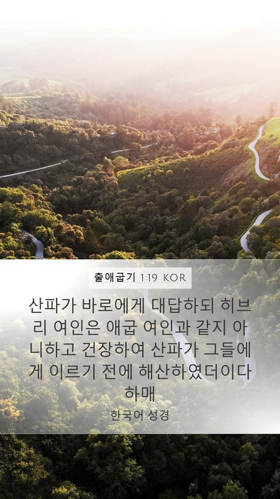 출애굽기 1:19 KOR Bible Verse Image