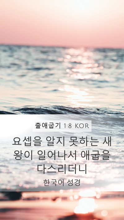 출애굽기 1:8 KOR Bible Verse Image