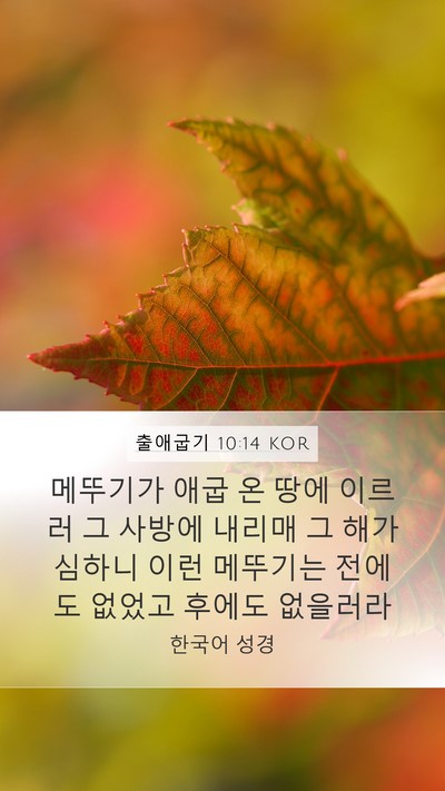 출애굽기 10:14 KOR Bible Verse Image