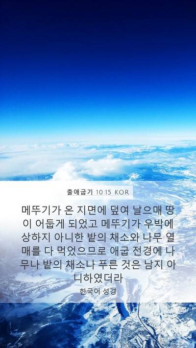 출애굽기 10:15 KOR Bible Verse Image