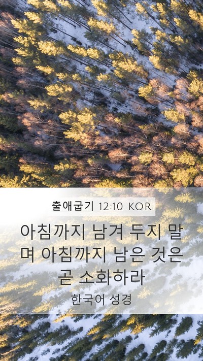 출애굽기 12:10 KOR Bible Verse Image