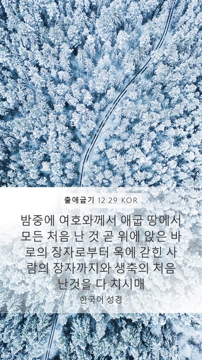 출애굽기 12:29 KOR Bible Verse Image