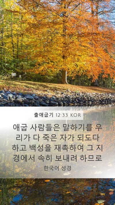 출애굽기 12:33 KOR Bible Verse Image