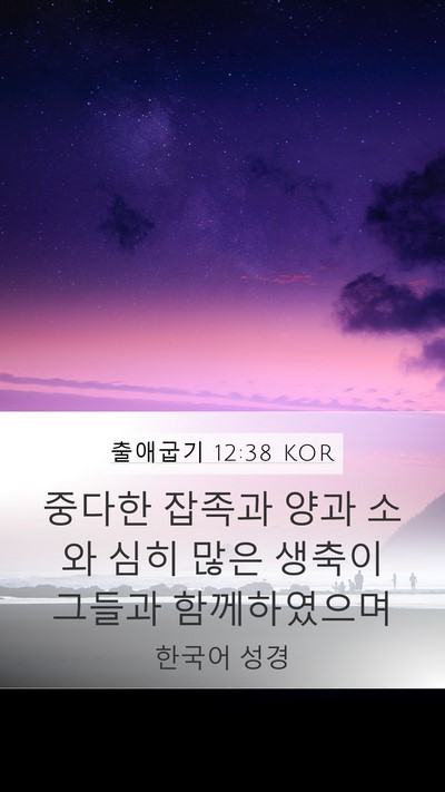 출애굽기 12:38 KOR Bible Verse Image