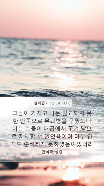 출애굽기 12:39 KOR Bible Verse Image