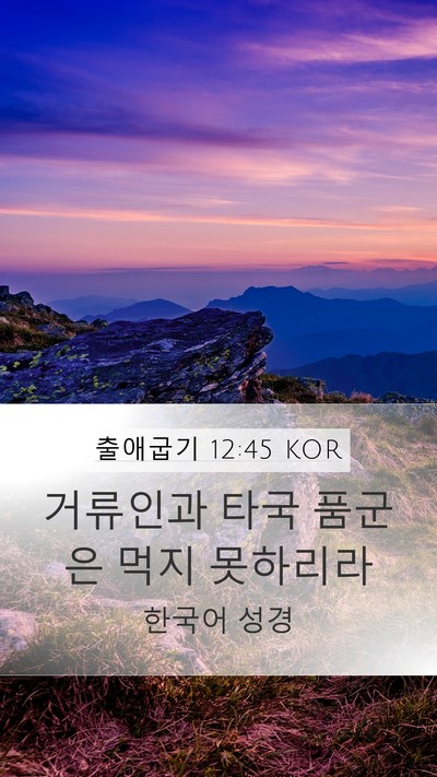 출애굽기 12:45 KOR Mobile Phone Wallpaper - 거류인과 타국 품군은 먹지 - Mobile Bible Verse Wallpaper