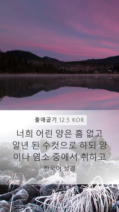 출애굽기 12:5 KOR Bible Verse Image