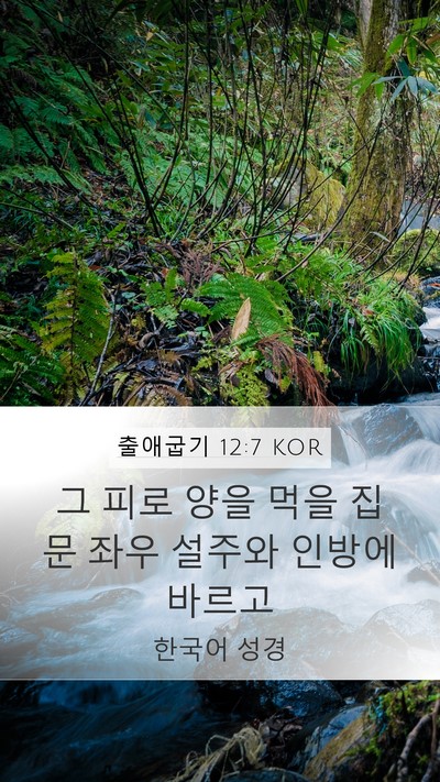 출애굽기 12:7 KOR Bible Verse Image