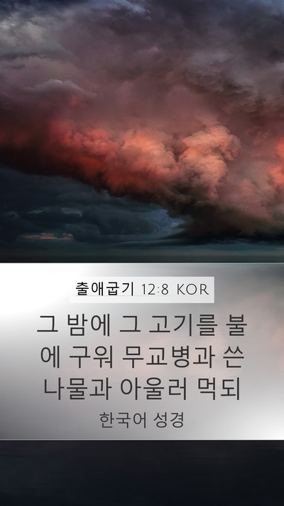 출애굽기 12:8 KOR Bible Verse Image