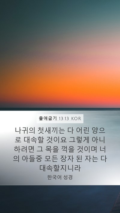 출애굽기 13:13 KOR Bible Verse Image