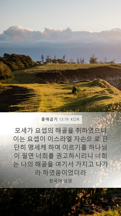 출애굽기 13:19 KOR Bible Verse Image