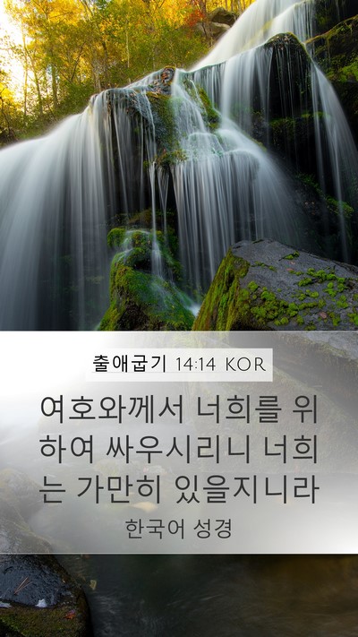 출애굽기 14:14 KOR Bible Verse Image