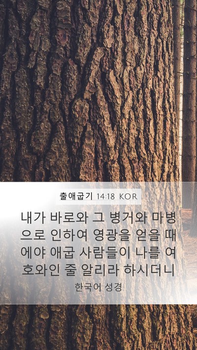 출애굽기 14:18 KOR Bible Verse Image