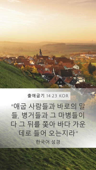 출애굽기 14:23 KOR Bible Verse Image