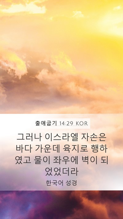 출애굽기 14:29 KOR Bible Verse Image