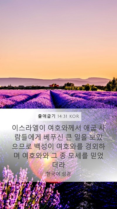 출애굽기 14:31 KOR Bible Verse Image