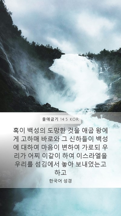 출애굽기 14:5 KOR Bible Verse Image