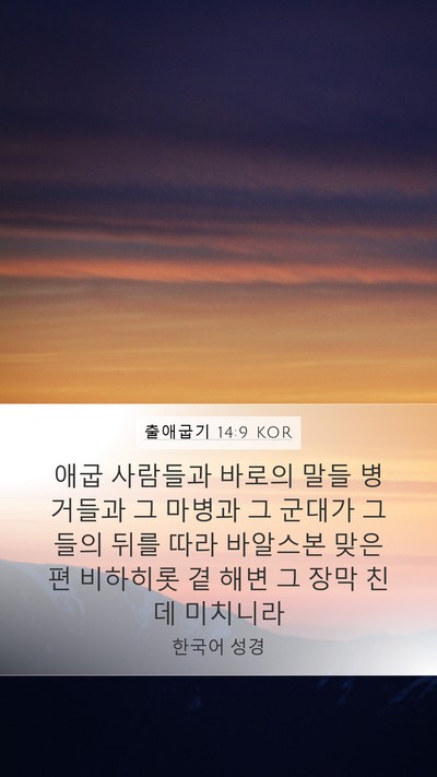 출애굽기 14:9 KOR Bible Verse Image