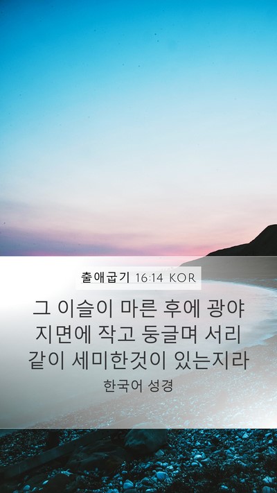 출애굽기 16:14 KOR Bible Verse Image