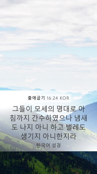 출애굽기 16:24 KOR Mobile Phone Wallpaper - 그들이 모세의 명대로 아침까지 - Mobile Bible Verse Wallpaper