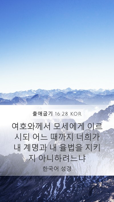 출애굽기 16:28 KOR Bible Verse Image