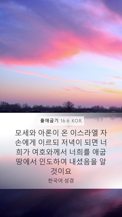출애굽기 16:6 KOR Mobile Phone Wallpaper - 모세와 아론이 온 이스라엘 자손에게 - Mobile Bible Verse Wallpaper
