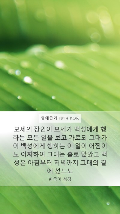 출애굽기 18:14 KOR Bible Verse Image