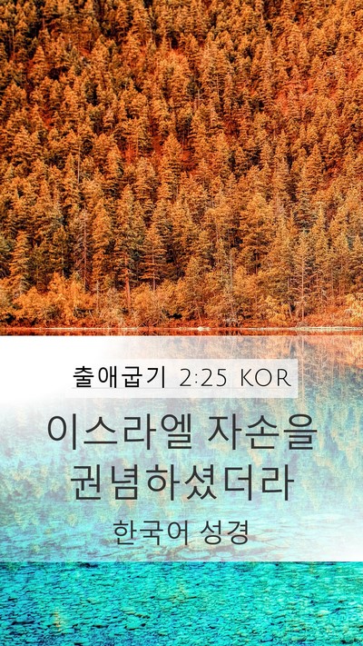 출애굽기 2:25 KOR Bible Verse Image