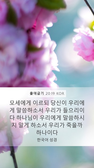 출애굽기 20:19 KOR Bible Verse Image