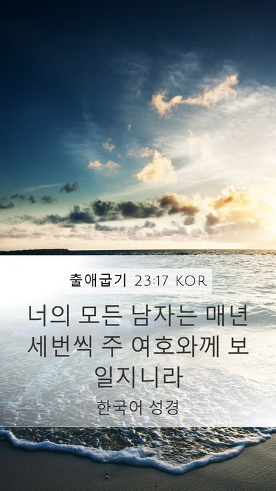 출애굽기 23:17 KOR Bible Verse Image