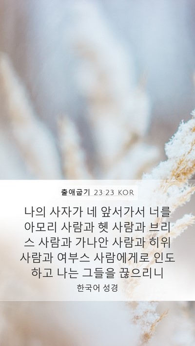 출애굽기 23:23 KOR Bible Verse Image