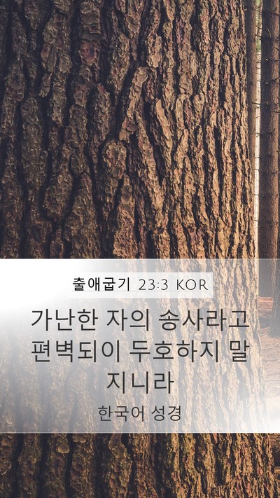 출애굽기 23:3 KOR Bible Verse Image