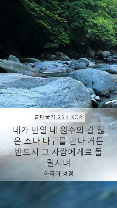출애굽기 23:4 KOR Bible Verse Image