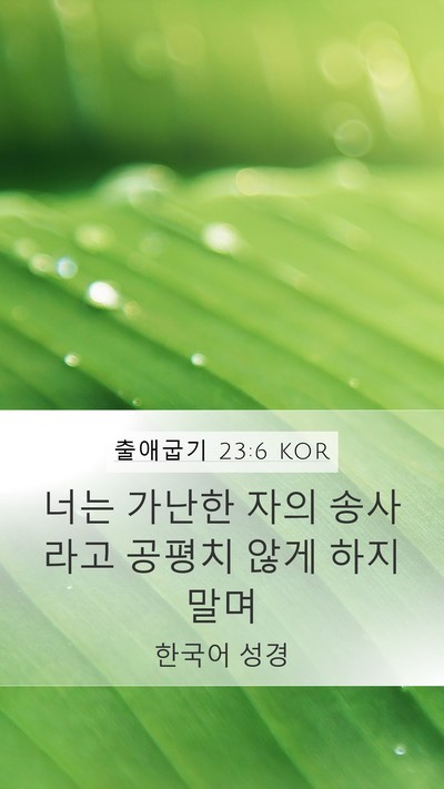 출애굽기 23:6 KOR Bible Verse Image