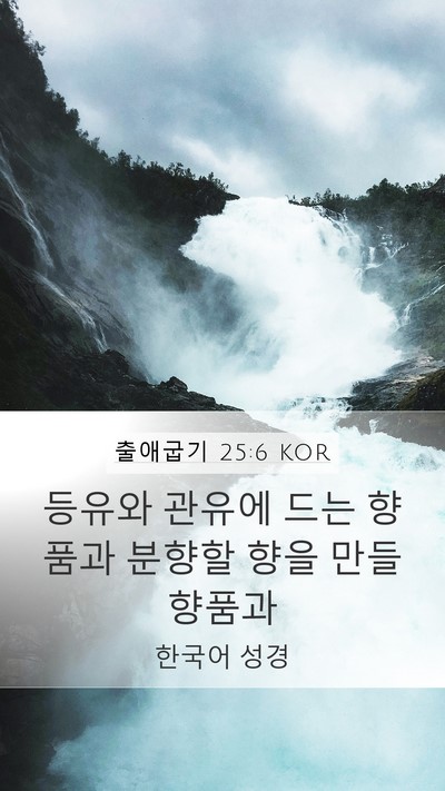 출애굽기 25:6 KOR Bible Verse Image