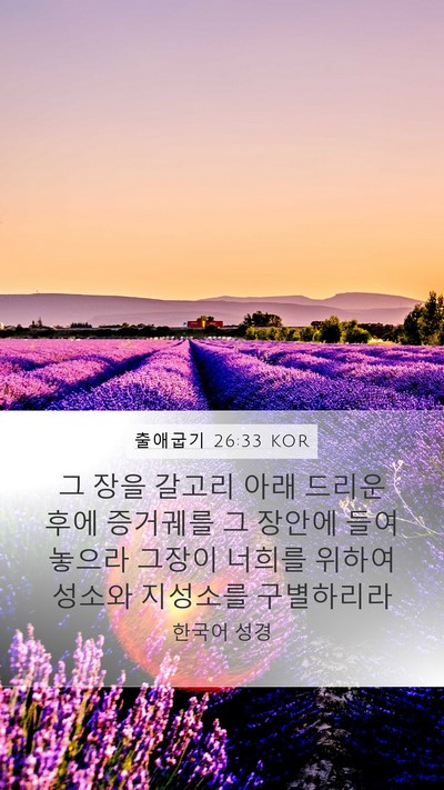 출애굽기 26:33 KOR Bible Verse Image